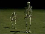 Darvino skeletukai :)
